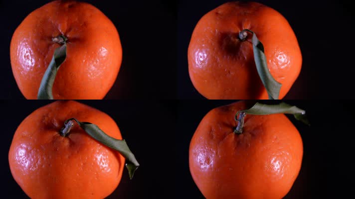 秋冬水果橙子维生素 (4)