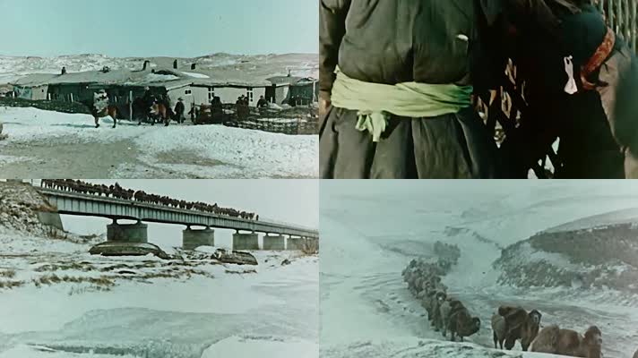 50年代蒙古牧民生活