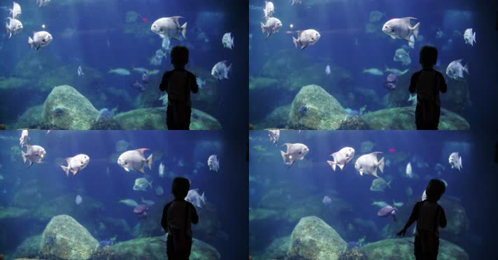 人物手部特写翻书多角度