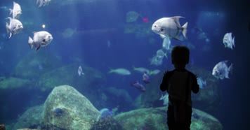 人物手部特写翻书多角度