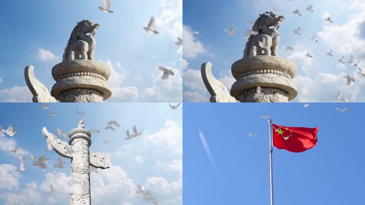 和平鸽飞过中华柱白鸽飞翔鸽子飞过蓝天梦想