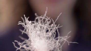 羽绒毛，羽绒服，高端羽绒加工