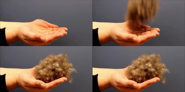 羽绒毛，羽绒服，高端羽绒加工