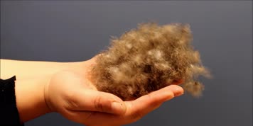 羽绒毛，羽绒服，高端羽绒加工