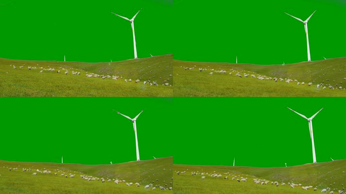 4k草原上风力太阳能发电羊群绿幕素材