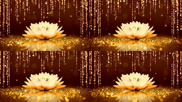 愿做菩萨那朵莲配乐背景