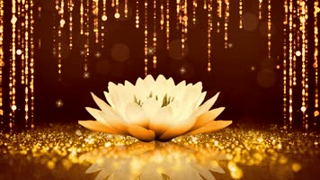 愿做菩萨那朵莲配乐背景