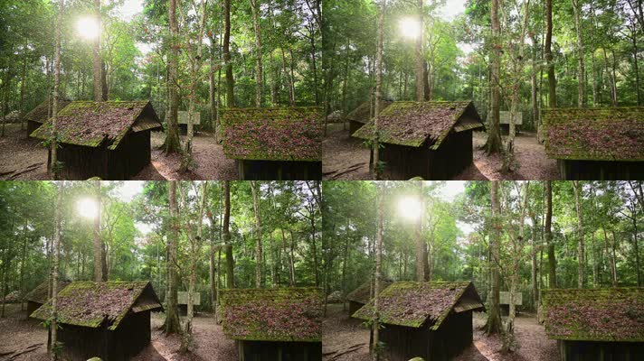 景色古老的小屋和明亮的阳光光线之间的森林