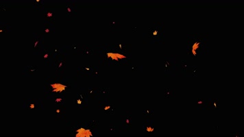4K-枫叶落下-alpha通道
