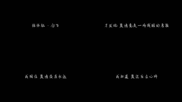 徐怀钰 - 分飞（1080P）