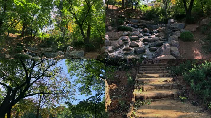 植物园森林公园自然山水