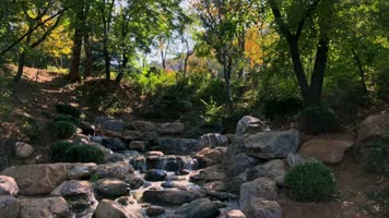 植物园森林公园自然山水