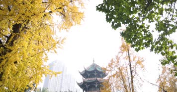 4k升格实拍市民休闲生活 中国风汉服合影