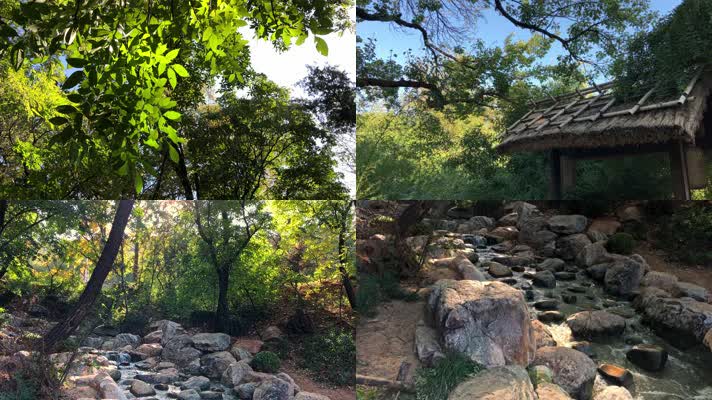 植物园森林公园自然山水