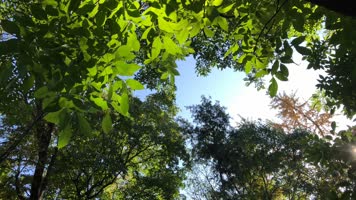 植物园森林公园自然山水