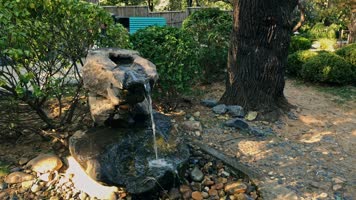 植物园森林公园自然山水