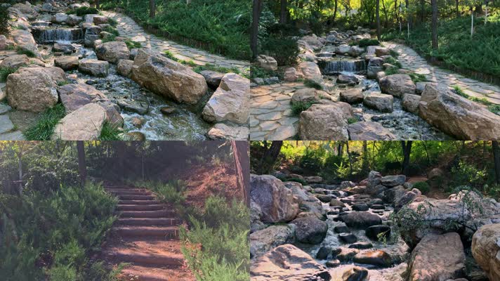 植物园森林公园自然山水