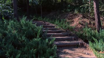 植物园森林公园自然山水