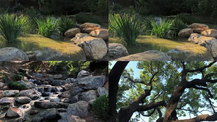 植物园森林公园自然山水