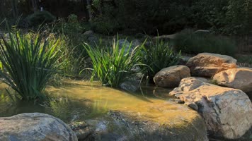 植物园森林公园自然山水