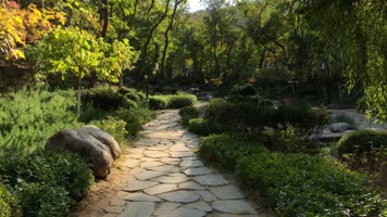 植物园森林公园自然山水