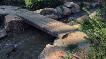 植物园森林公园自然山水