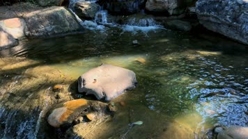 植物园森林公园自然山水