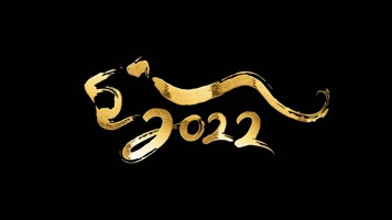 2022花纹金虎循环带通道