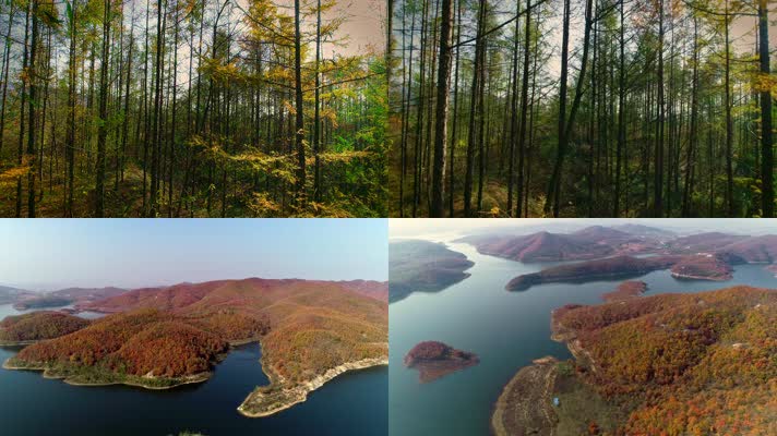 原创航拍秋天水库山脉湖泊风光