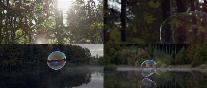 树林气泡