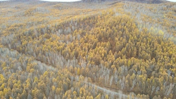 航拍茫茫大兴安岭原始森林中的公路 航拍茫茫大兴安岭原始森林中的公路