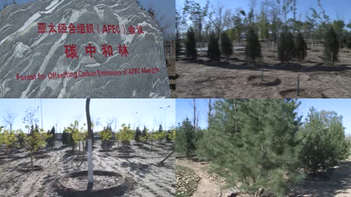 2014年北京APEC会议倡议种植的碳中和林