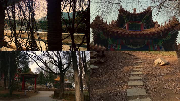 原创拍摄冬季公园园林景观