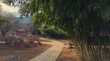 原创拍摄冬季公园园林景观