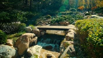 原创拍摄2020城市公园植物园秋天景色