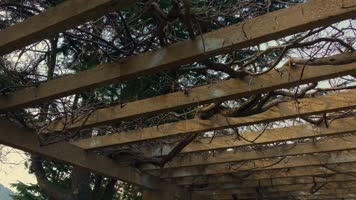 原创拍摄冬季公园园林景观