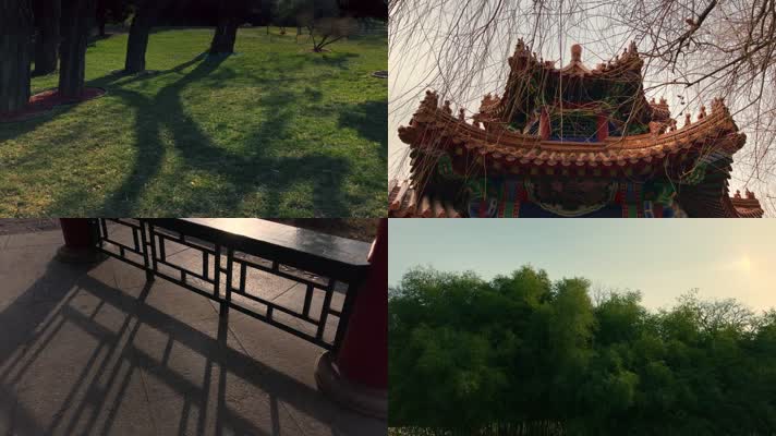 原创拍摄冬季公园园林景观