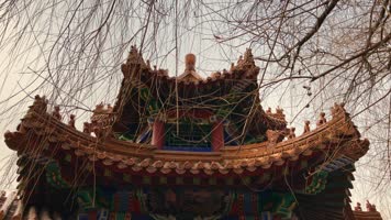 原创拍摄冬季公园园林景观