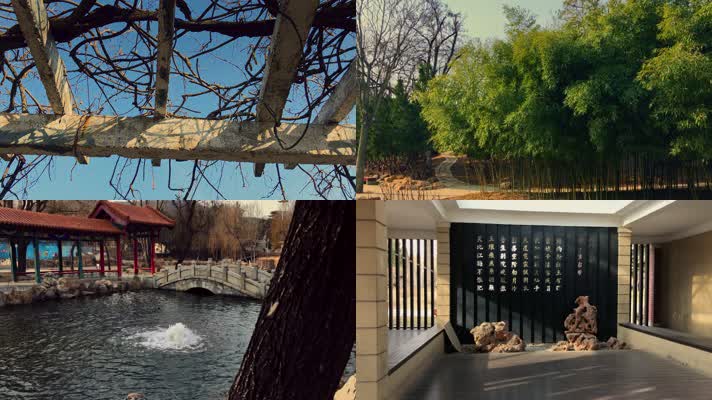 原创拍摄冬季公园园林景观