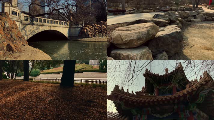 原创拍摄冬季公园园林景观