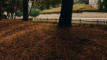 原创拍摄冬季公园园林景观