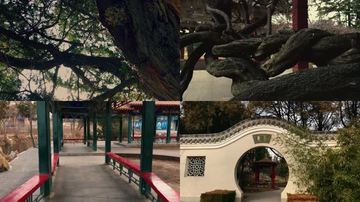 原创拍摄冬季公园园林景观