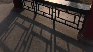 原创拍摄冬季公园园林景观