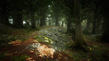 三维动画热带森林密林自然风光