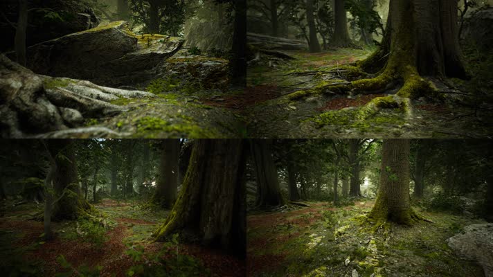 三维动画热带森林密林自然风光