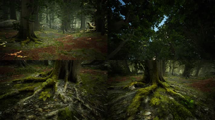 三维动画热带森林密林自然风光