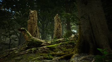 三维动画热带森林密林自然风光