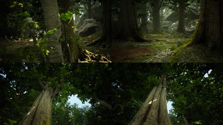 三维动画热带森林密林自然风光