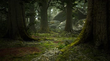 三维动画热带森林密林自然风光