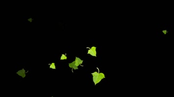 番薯叶动态装饰元素视频